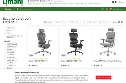 Scaun ergonomic de birou modern în Chișinău, oferind confort și design profesional